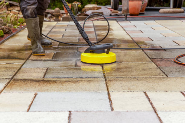 Best Roof Cleaning and Mildew Removal in Elton, LA