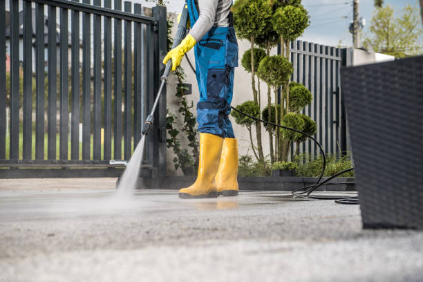 Trusted Elton, LA Pressure Washing Services Experts